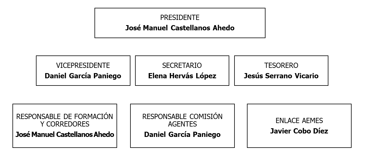 Organigrama Colegio Mediadores de Seguros de Burgos